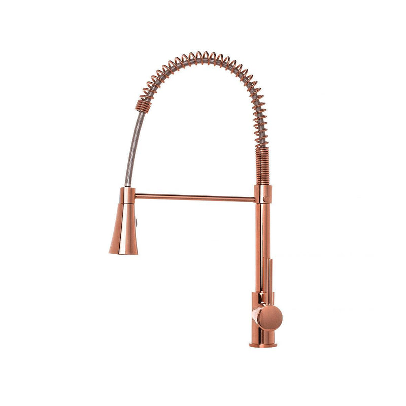 Torneira Para Cozinha - Lorenzoa